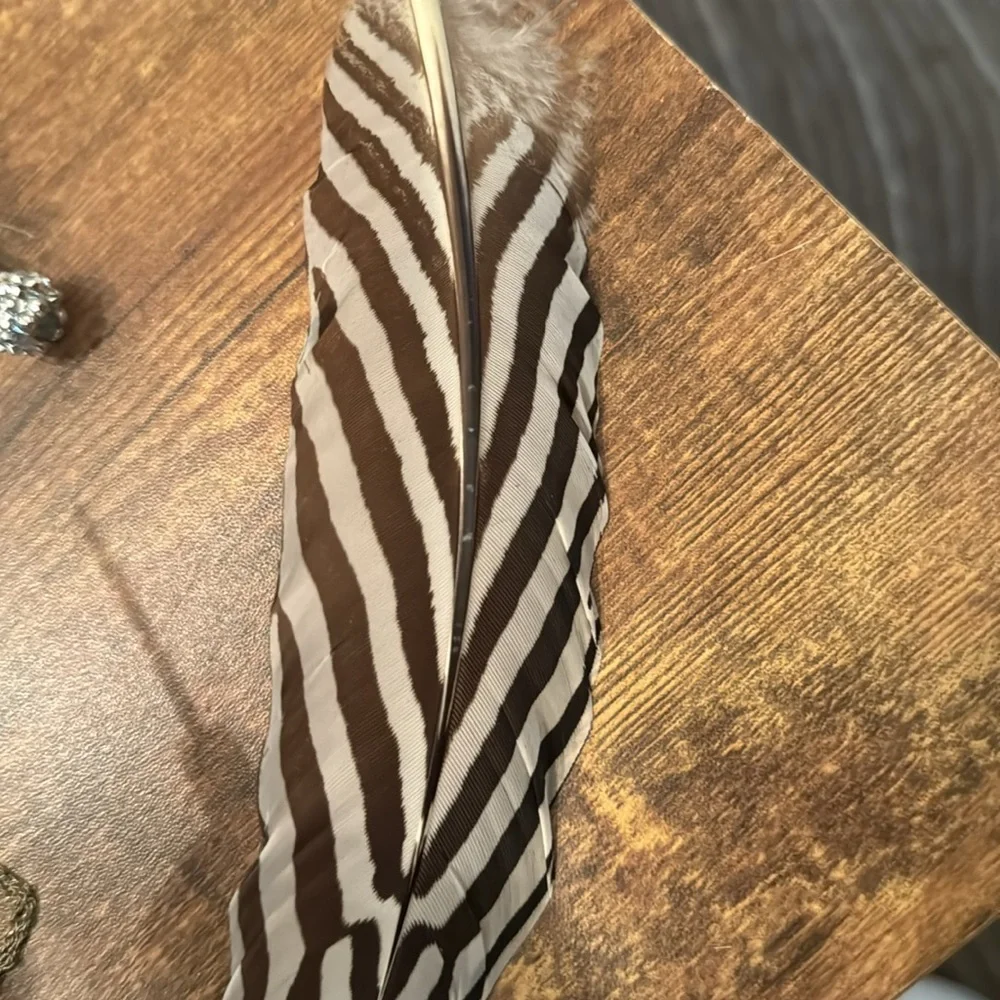 Beautiful hat feathers, decorative feathers, gifts, feathers, rhinestones - Picture 9 of 16